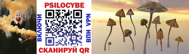 закладки  Чкаловск  Галлюциногенные грибы Cubensis 