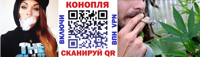 Конопля VHQ  где можно купить   Чкаловск 